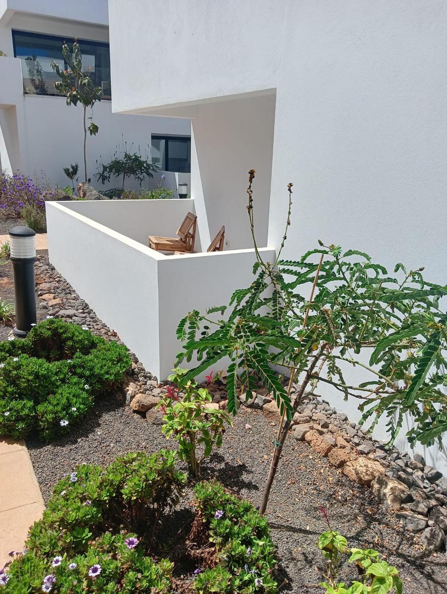 Aulaga Villaverde (Fuerteventura) Exterior foto